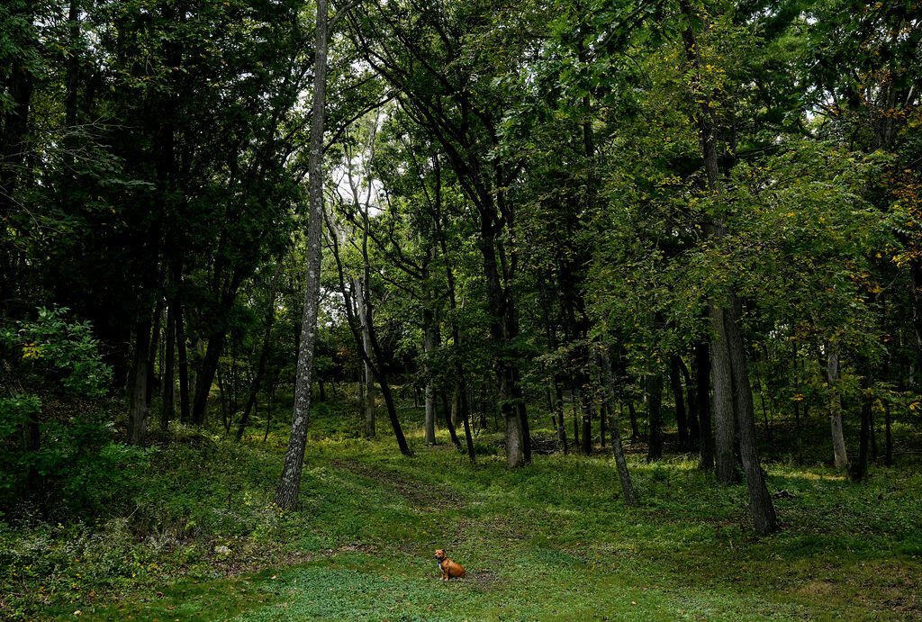 W3895 Timber Lake Road Troy, WI 53120 - Photo 57 of 64 Meet Lulu at the lake!