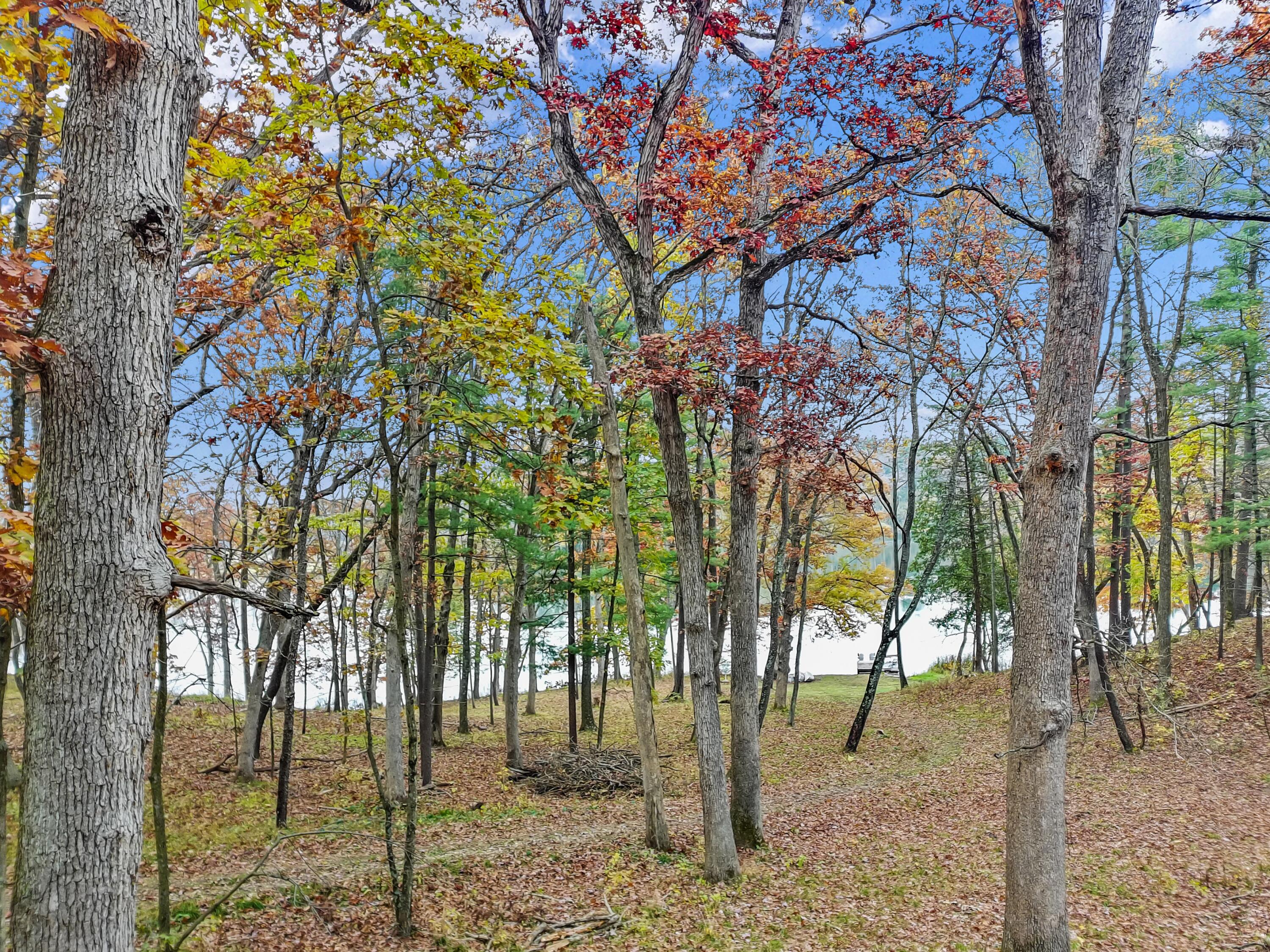 W3895 Timber Lake Road Troy, WI 53120 - Photo 10 of 64 Fall View