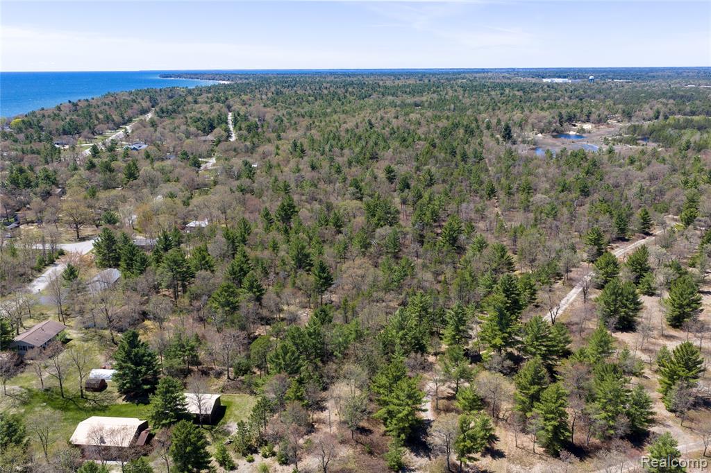 0 Scott Road East Tawas, MI 48730 - Photo 5 of 17