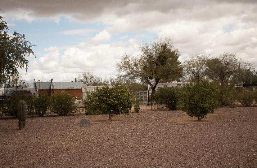 6333 North Calvin Road Tucson, AZ 85743 - Photo 21 of 31
