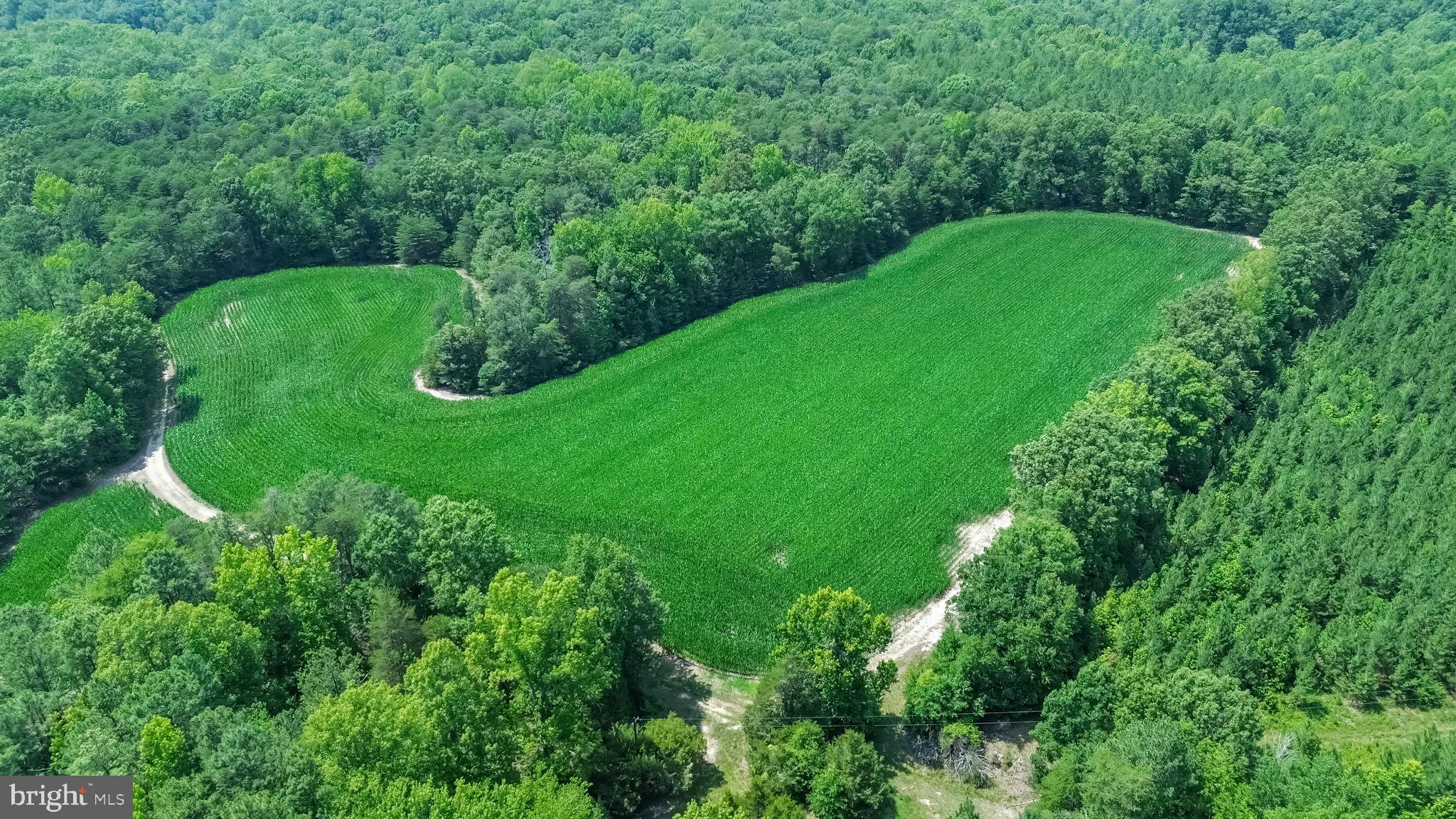 0 Todd Lane Ruther Glen, VA 22546 - Photo 8 of 8 Heart-shaped green oasis in nature.