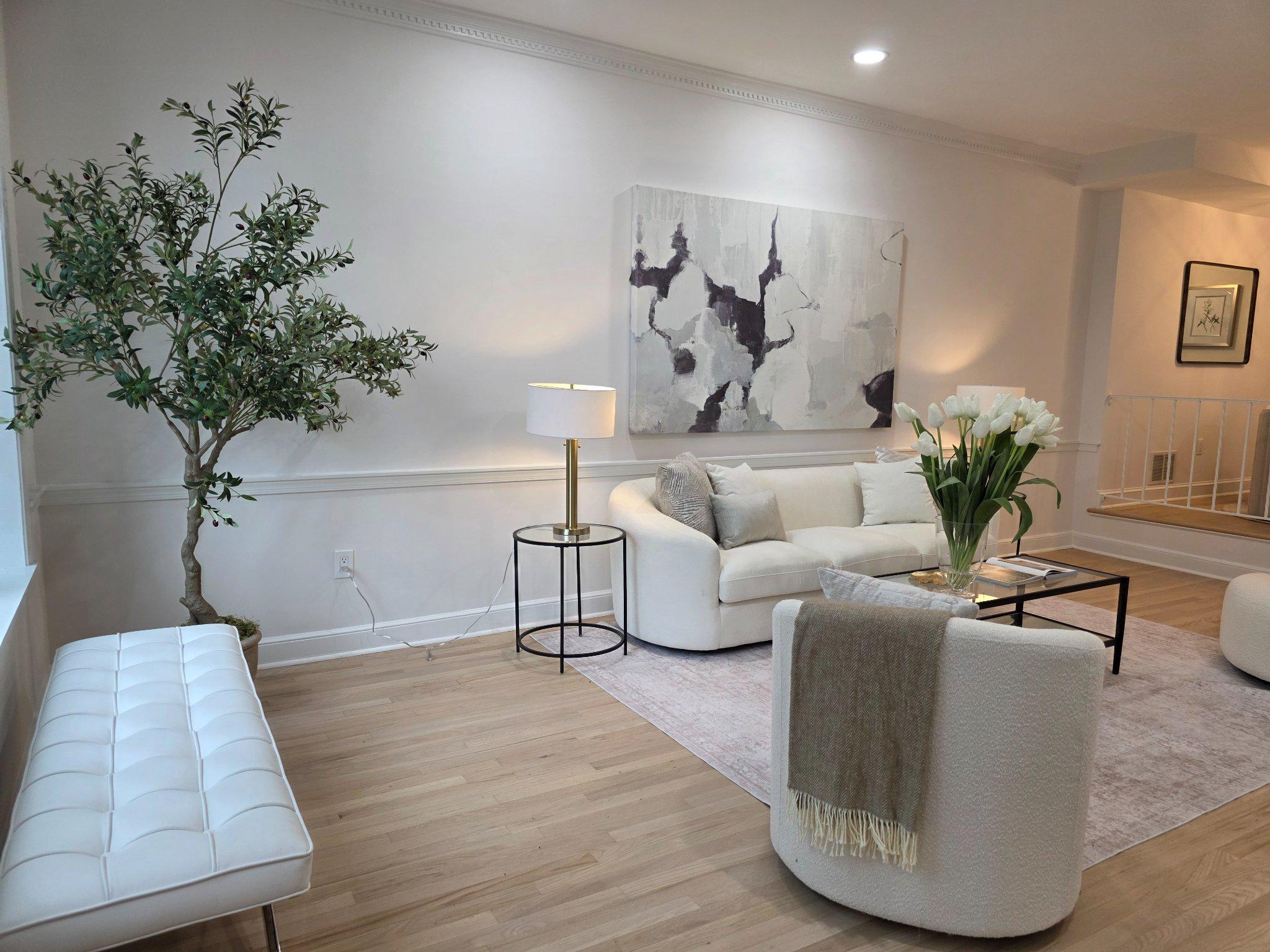3643 St Mary's Place Northwest Washington, DC 20007 - Photo 11 of 49 a living room with furniture and a potted plant