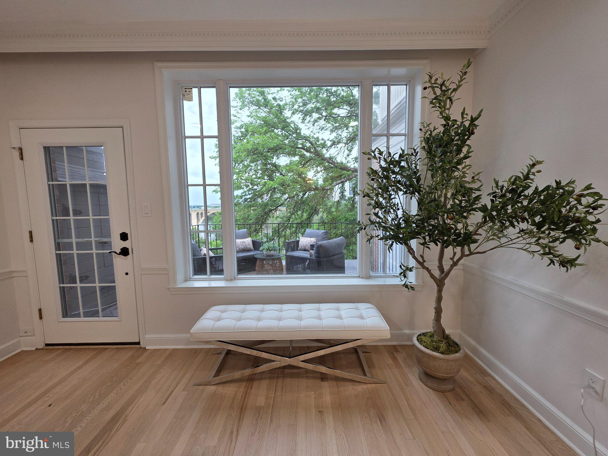 3643 St Mary's Place Northwest Washington, DC 20007 - Photo 13 of 49 a living room with a couch and a potted plant