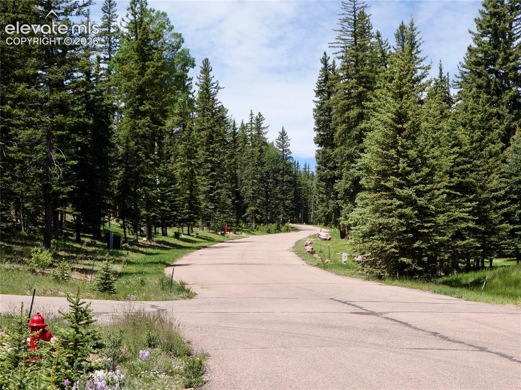 307 Pinaceae Heights Divide, CO 80814 - Photo 7 of 9