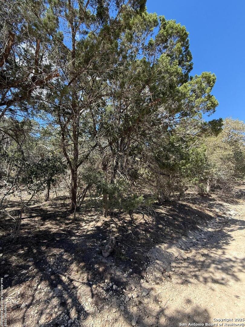 Tbd Paladin Bandera, TX 78003 - Photo 3 of 3