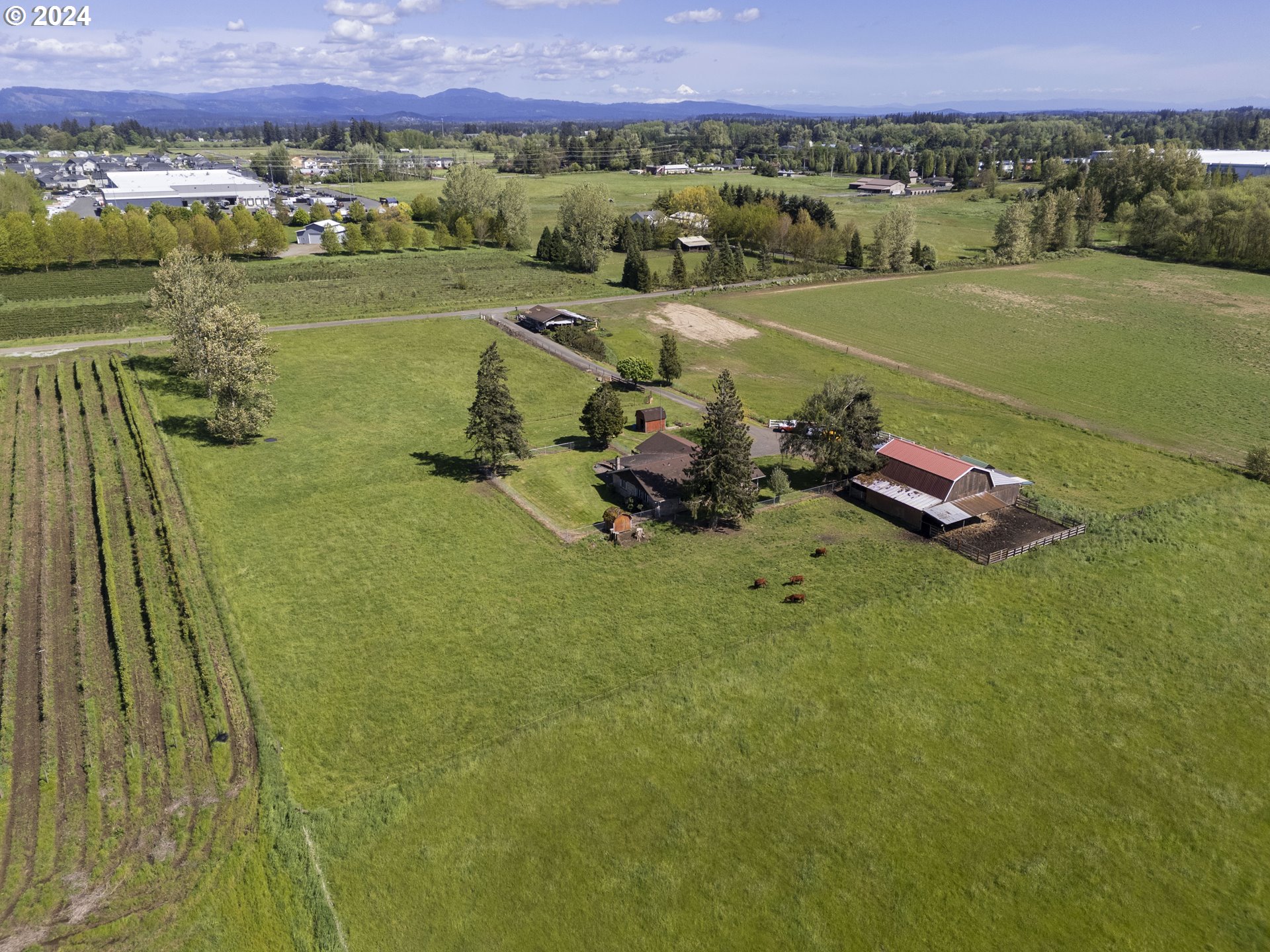 75 North 78th Place Ridgefield, WA 98642 - Photo 8 of 48