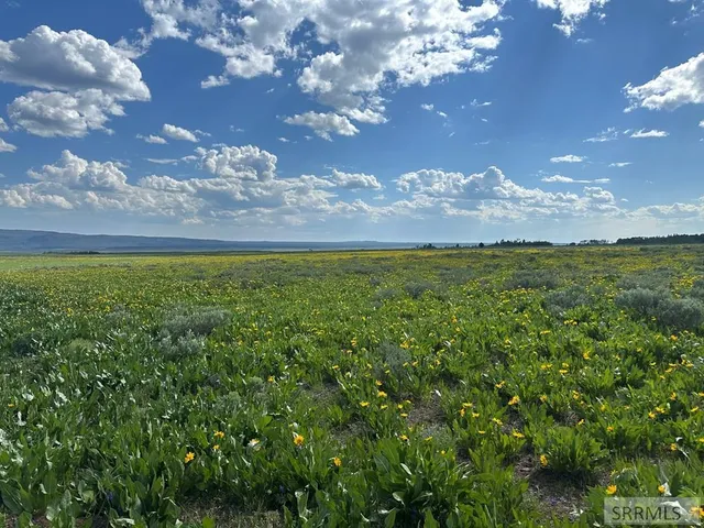 $273,000 | 4023 Brooks Blaze Lane, Island Park, ID 83429