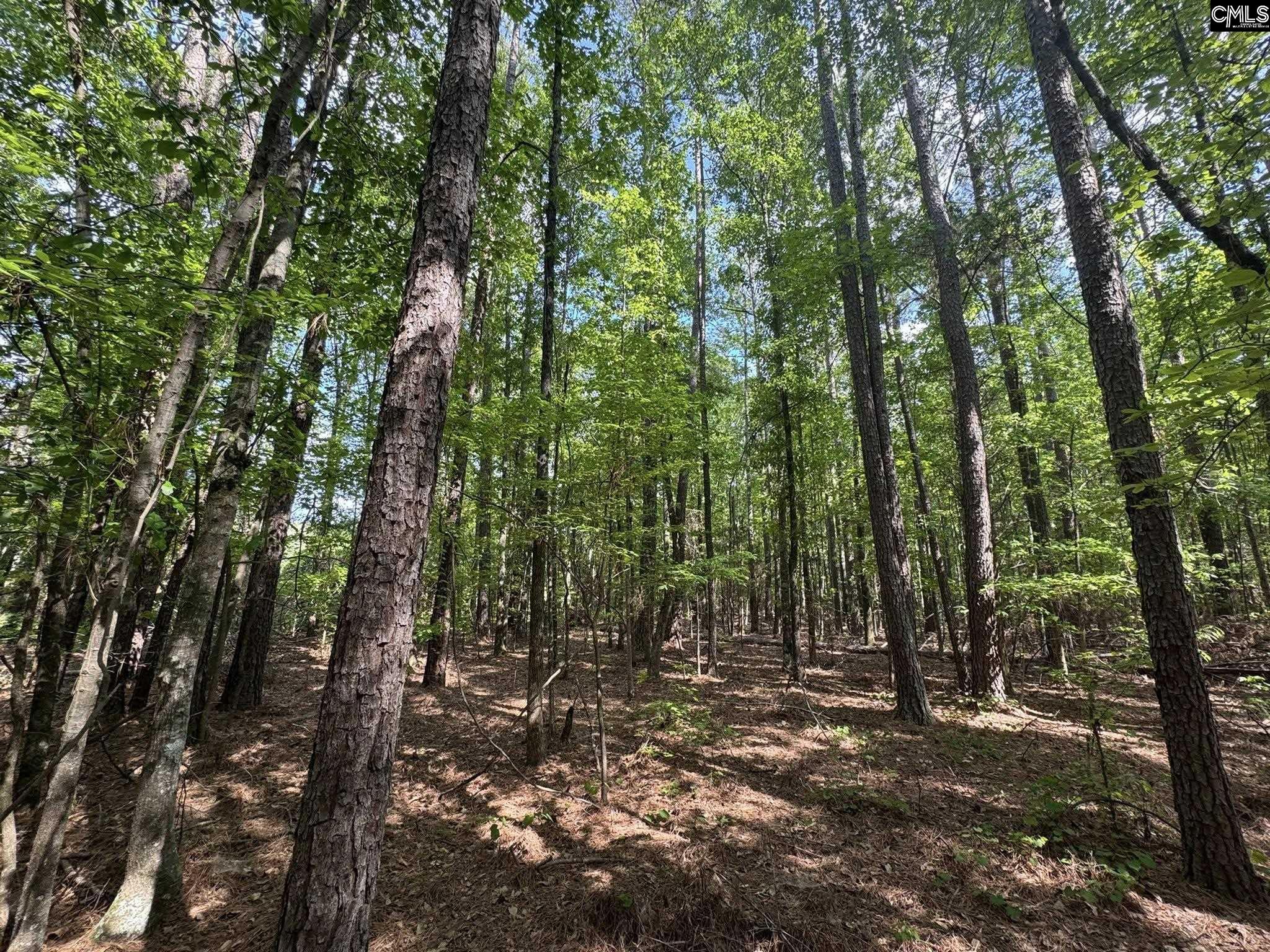 76 West W Highway Honea Path, SC 29654 - Photo 9 of 35