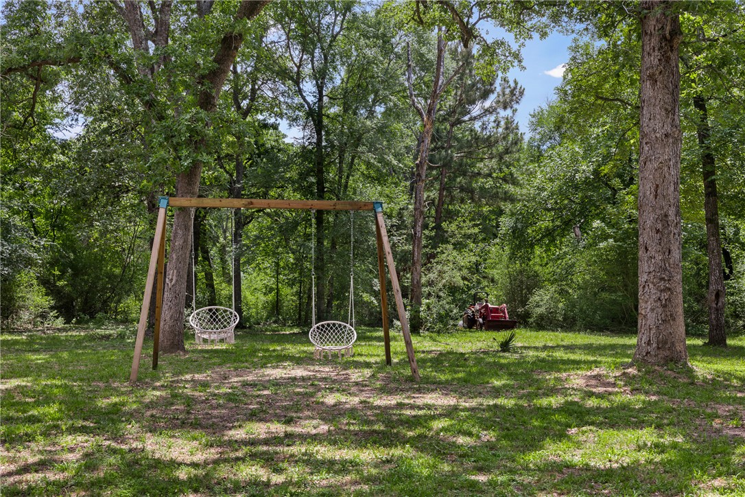 12255 County Road Centerville, TX 75833 - Photo 21 of 26 a view of a park with a tree