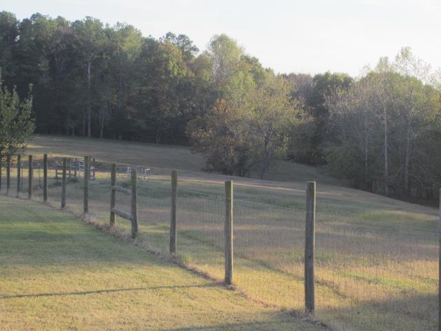 58 McLemore Road Taft, TN 38488 - Photo 5 of 21 Gallery Image 5