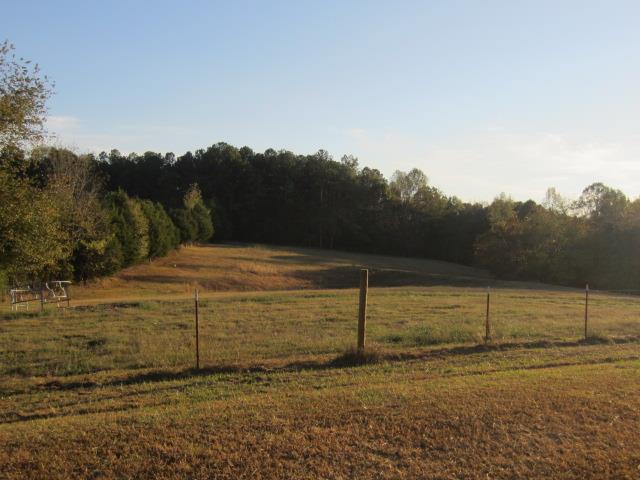 58 McLemore Road Taft, TN 38488 - Photo 6 of 21 Gallery Image 6