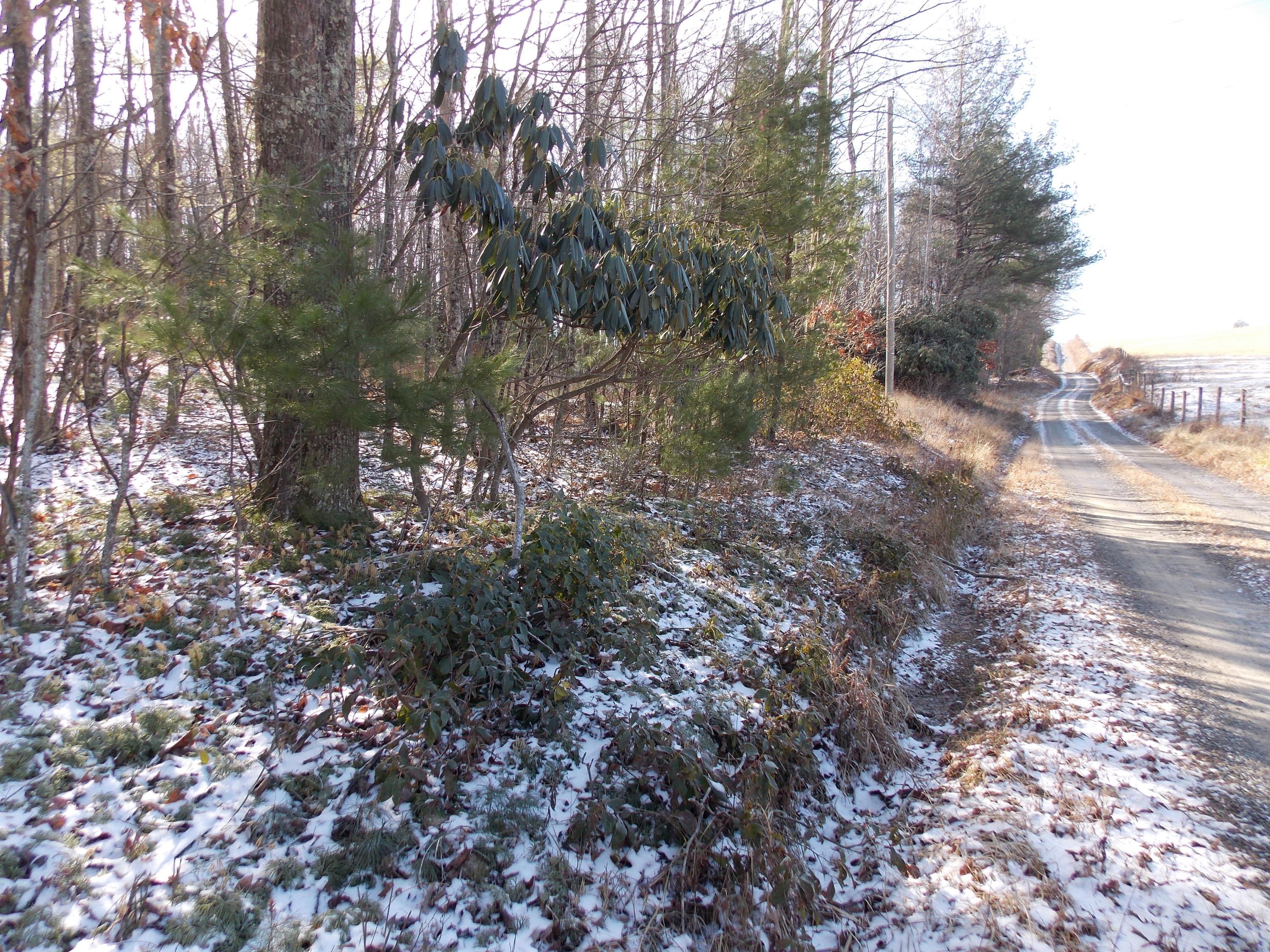 197 Windsor Road Northwest Willis, VA 24380 - Photo 18 of 47 DSCN9494