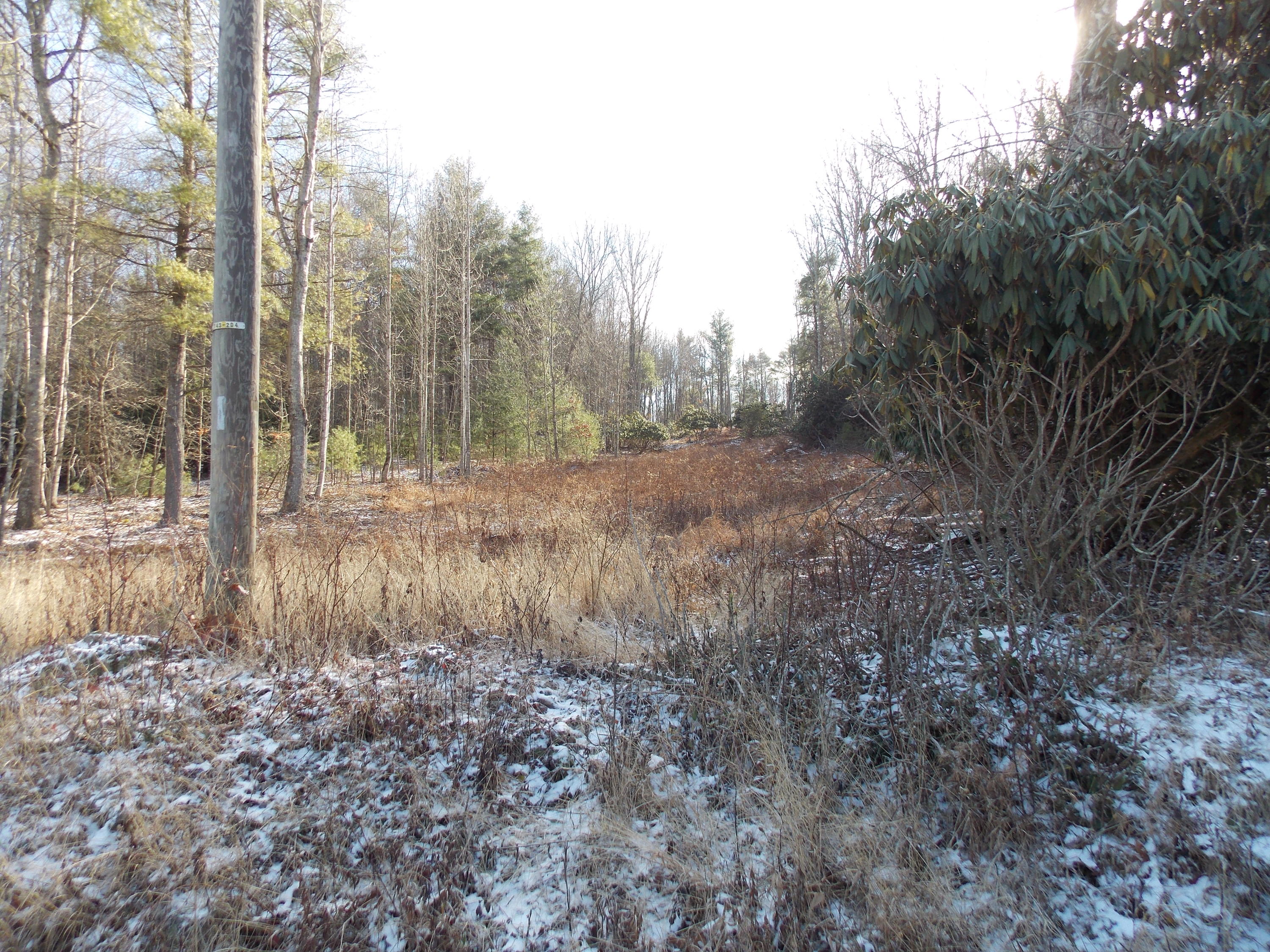 197 Windsor Road Northwest Willis, VA 24380 - Photo 20 of 47 DSCN9496