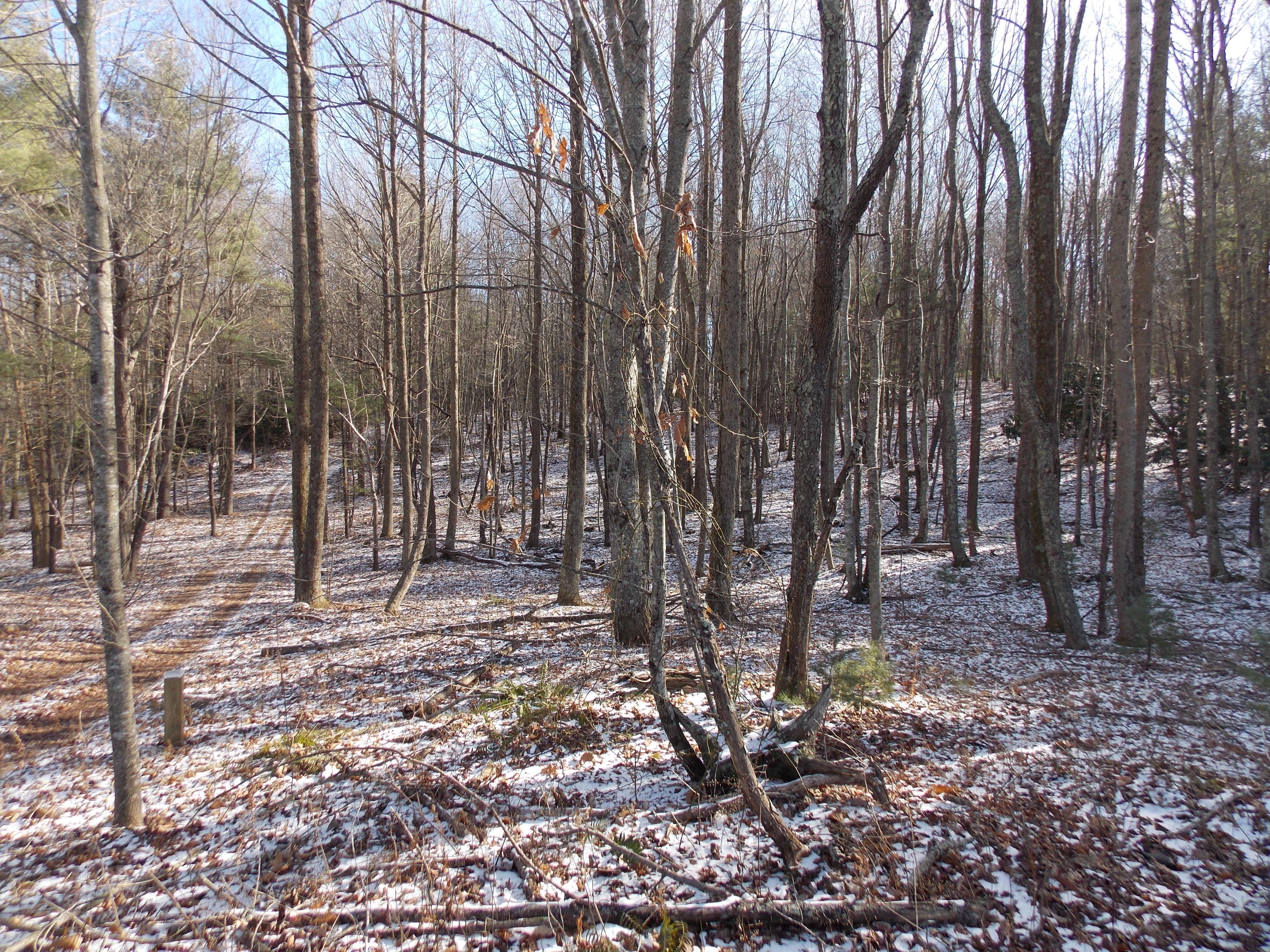 197 Windsor Road Northwest Willis, VA 24380 - Photo 23 of 47 DSCN9499