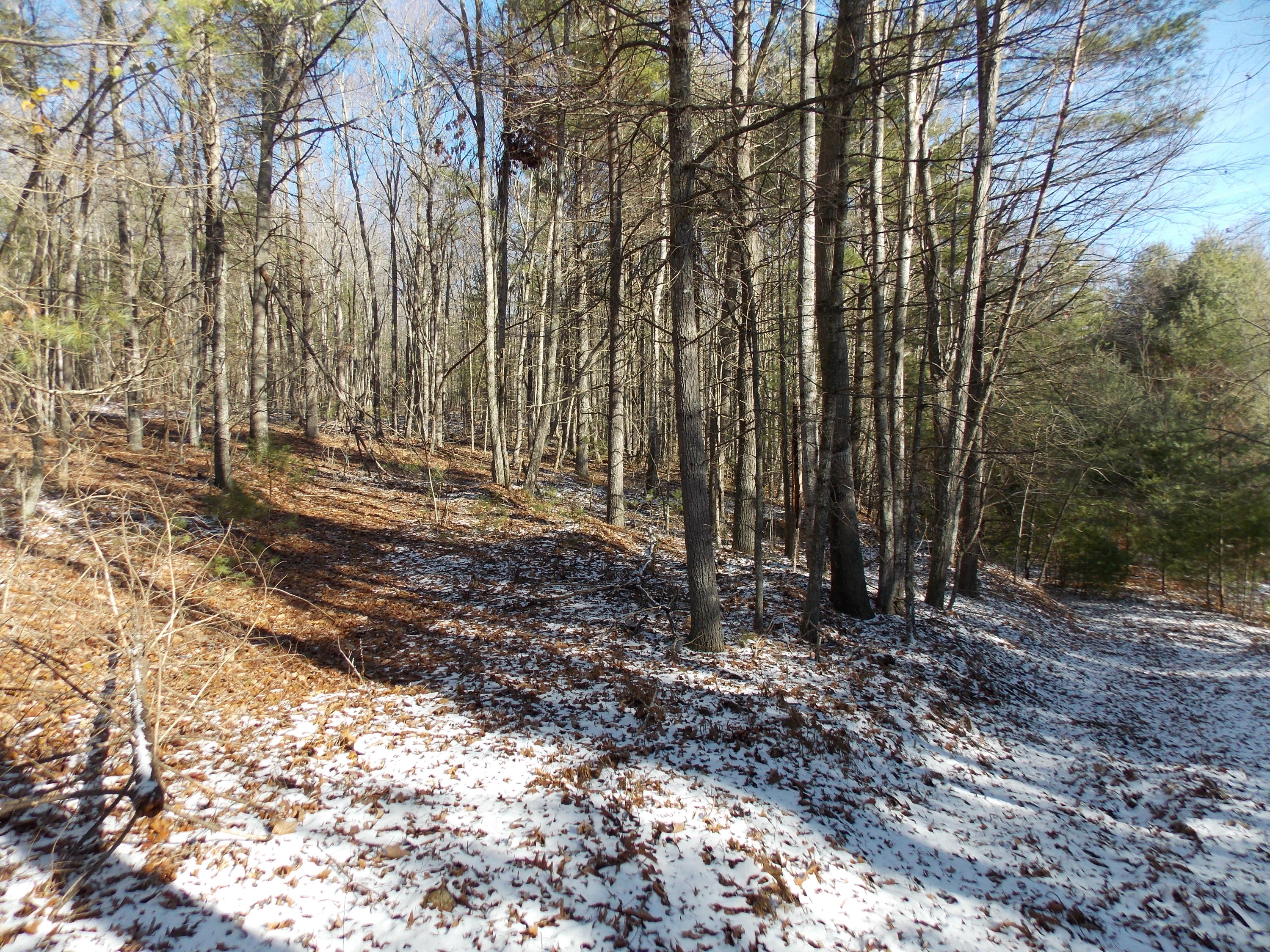 197 Windsor Road Northwest Willis, VA 24380 - Photo 35 of 47 DSCN9534