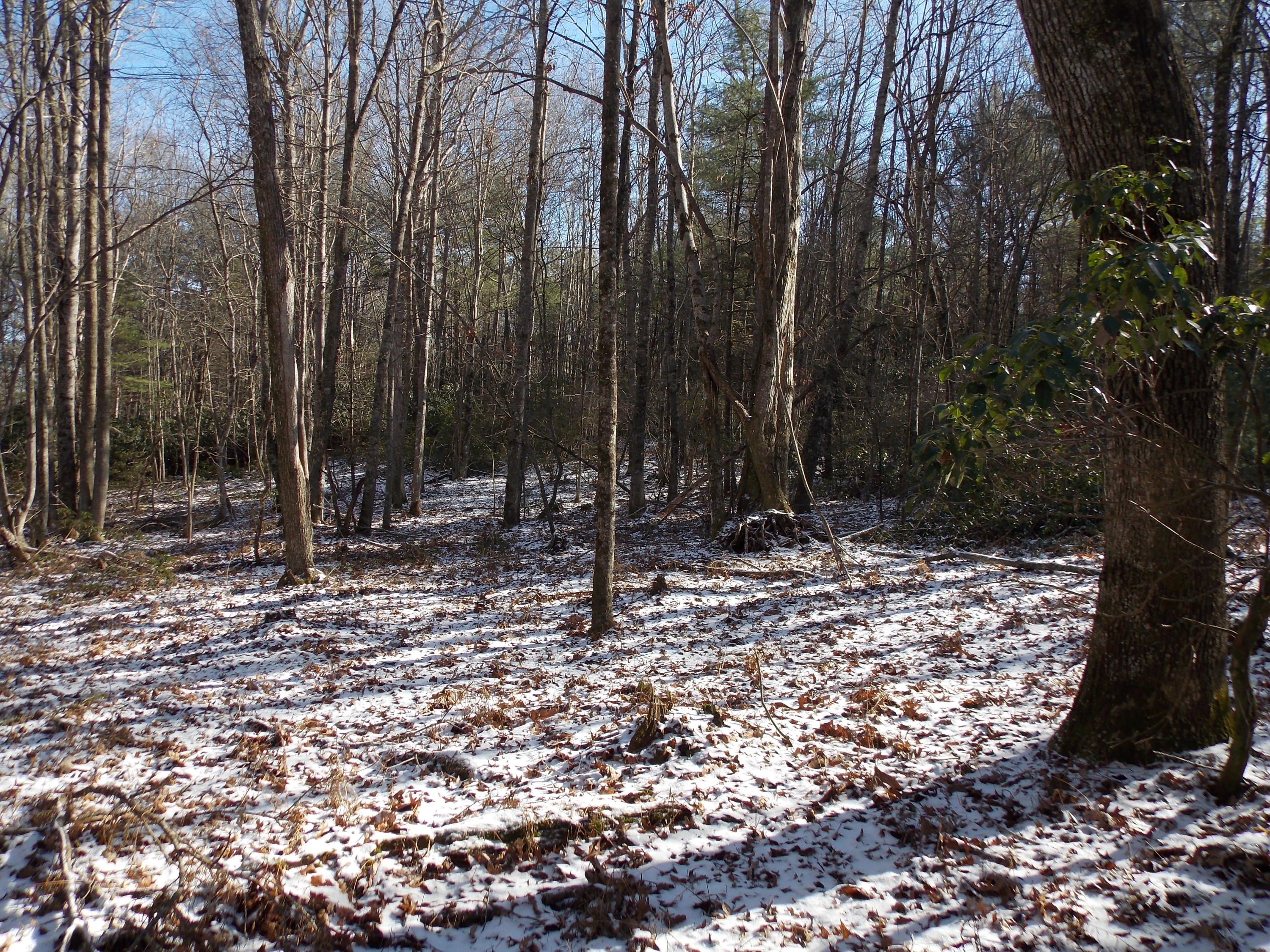 197 Windsor Road Northwest Willis, VA 24380 - Photo 42 of 47 DSCN9542