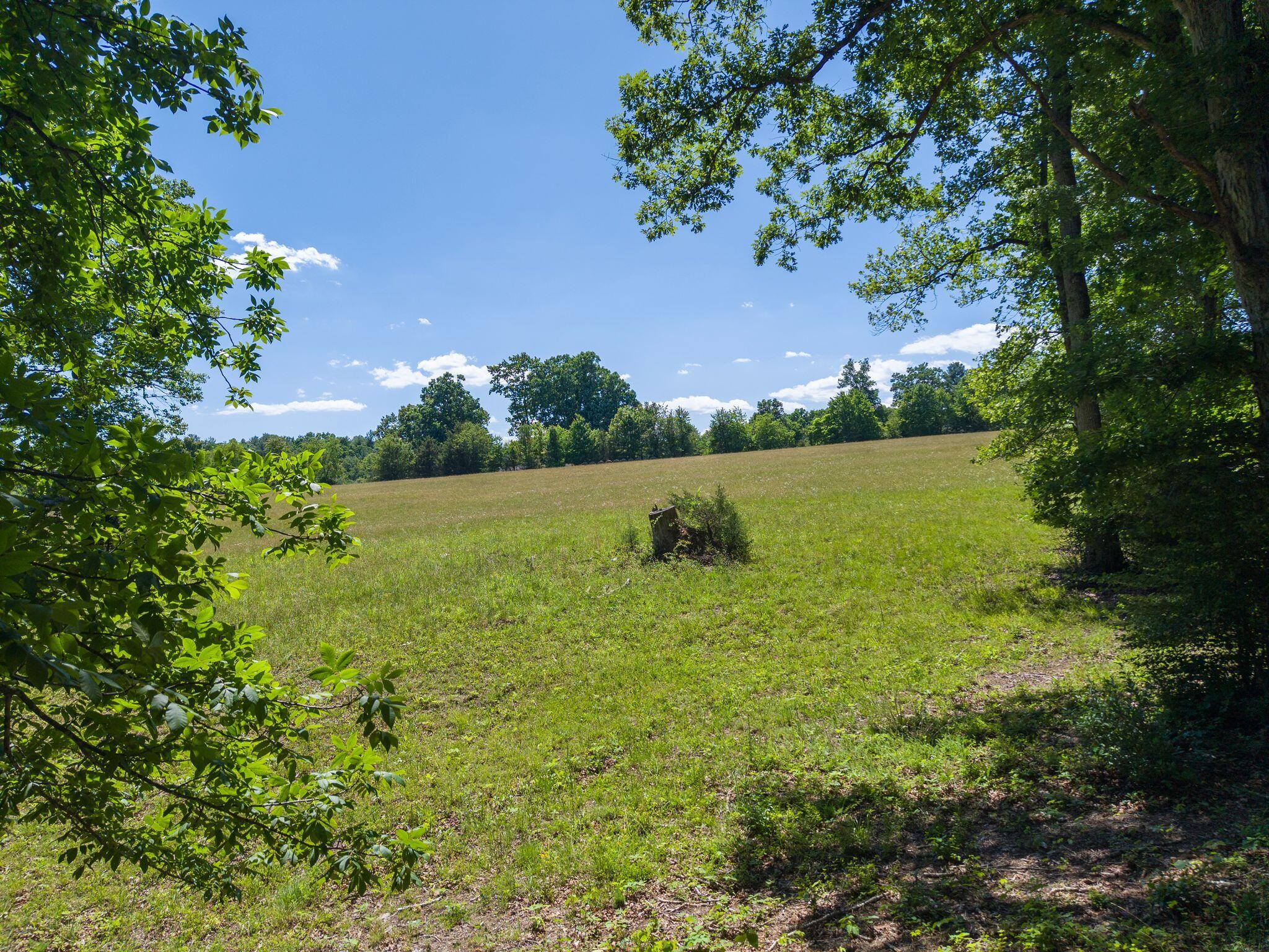 1115 Robin Ridge Road Henry, VA 24102 - Photo 41 of 54 a view of yard with green space