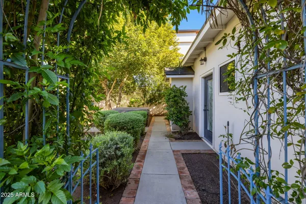 a view of a pathway with plants