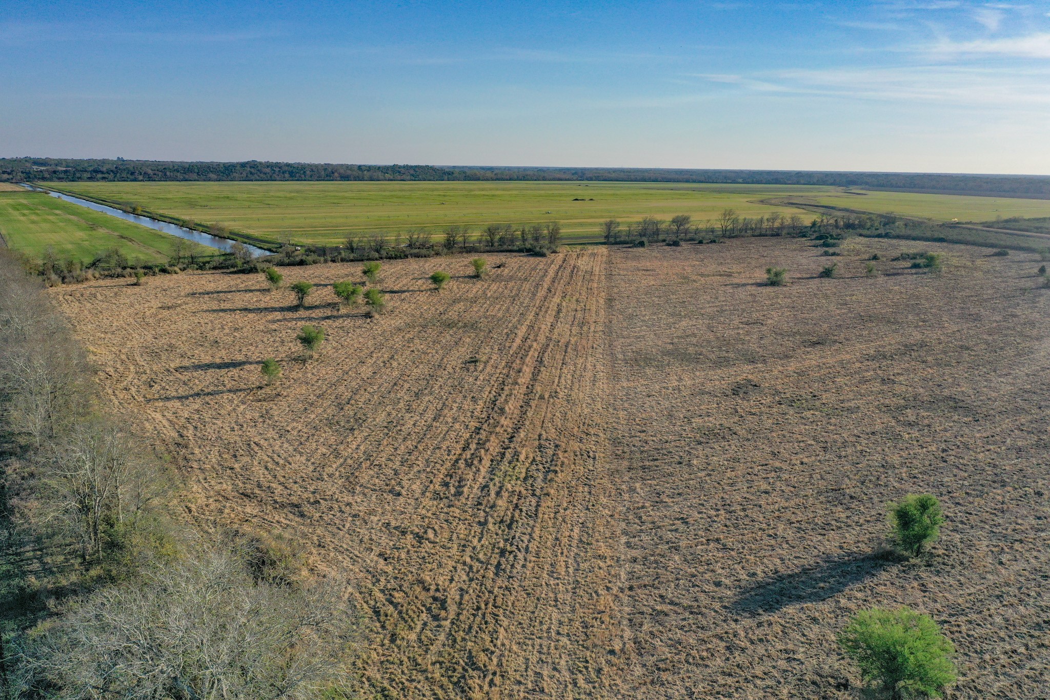 0 County Road 8 Guy, TX 77444 - Photo 4 of 17 a view of an ocean beach