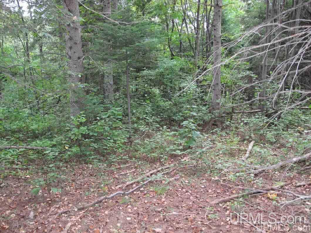 No # East No Road Grand Marais, MI 49839 - Photo 6 of 12