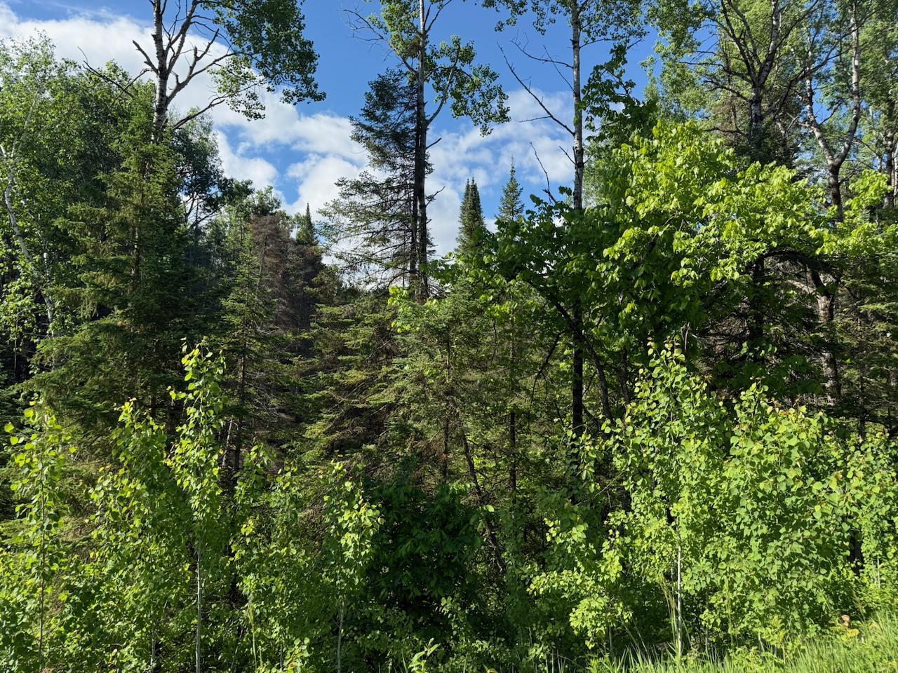 1576 County Road 8 Holyoke, MN 55749 - Photo 10 of 11