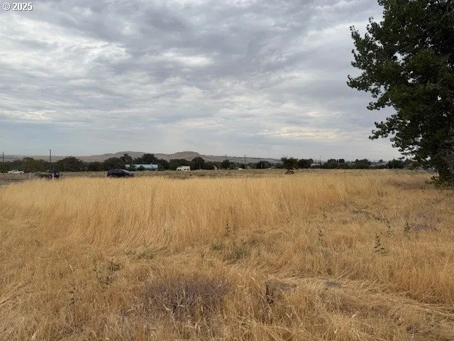 a view of a lake with houses in the back