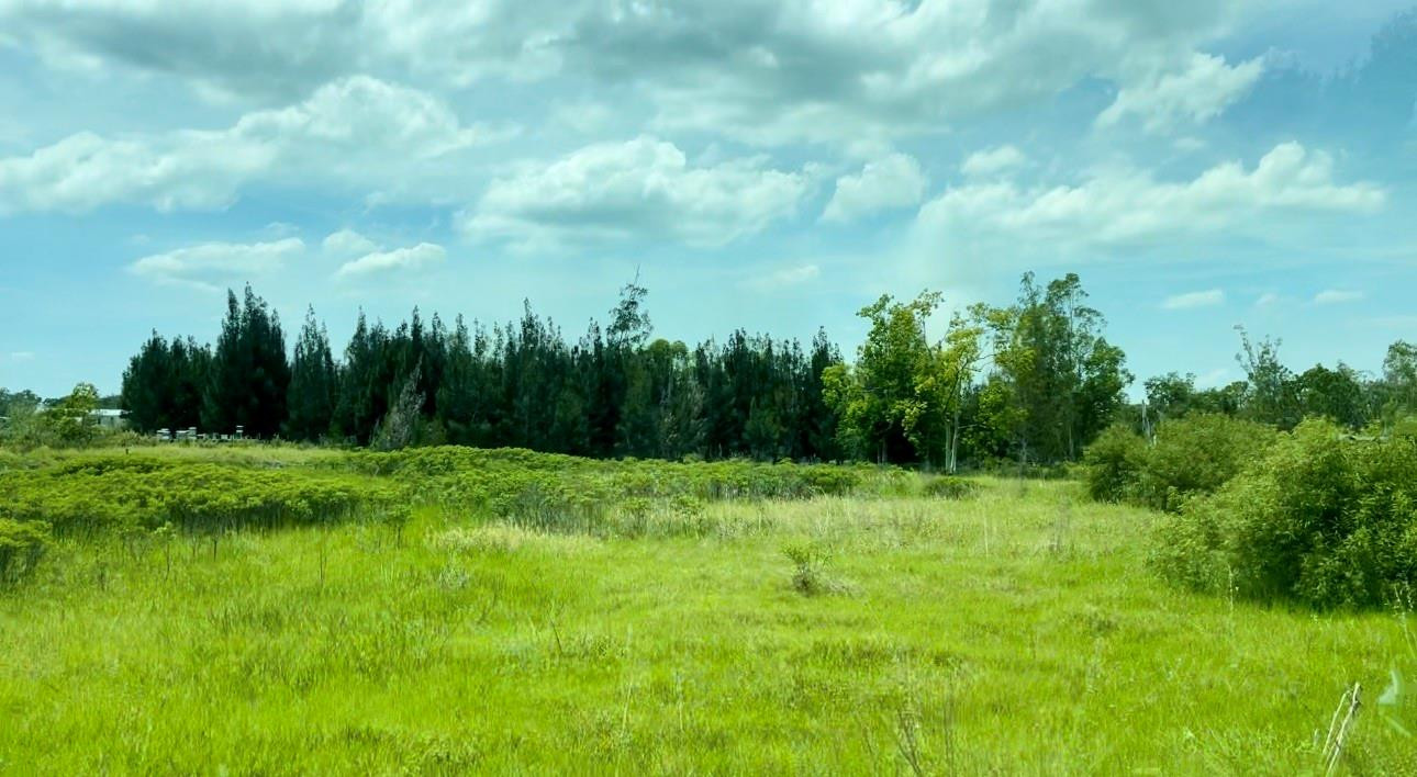 14 Cone Drive Venus, FL 33960 - Photo 7 of 12 Photo 7