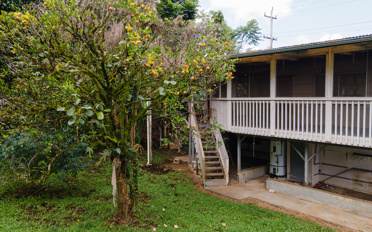 17-251 Volcano Road Keaau, HI 96749 - Photo 15 of 28 a view of a chair and table in the back yard