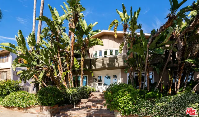 a view of a flower in a garden