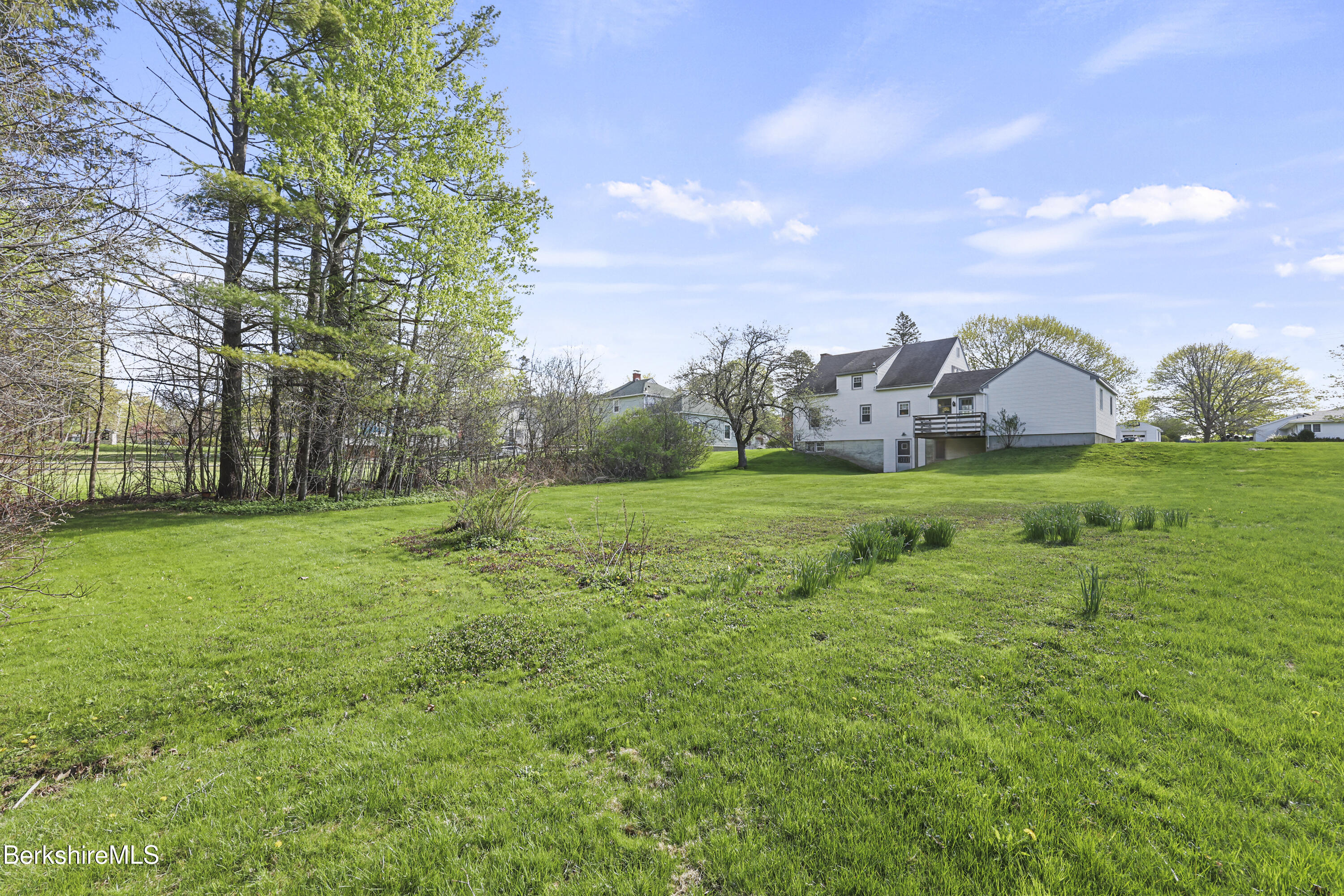 194 Eleanor Road Pittsfield, MA 01201 - Photo 35 of 39 195 Back Yard