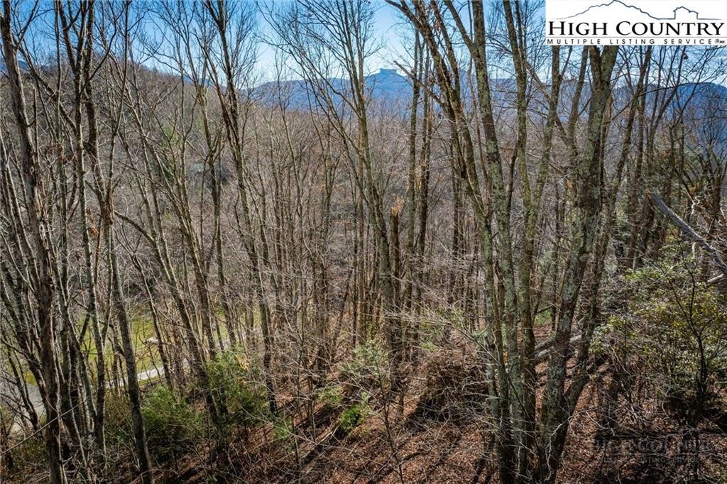 344-348 Tumbling Brook Road Banner Elk, NC 28604 - Photo 26 of 35