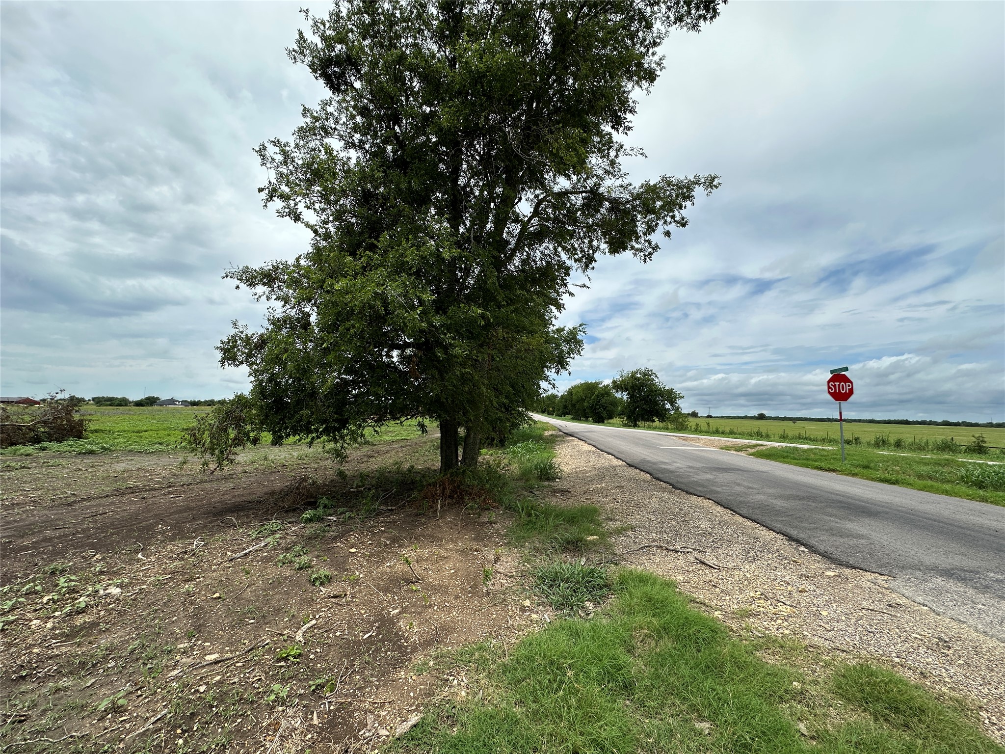 19621 Fm 2115 Salado, TX 76571 - Photo 11 of 29 a view of a road with a yard