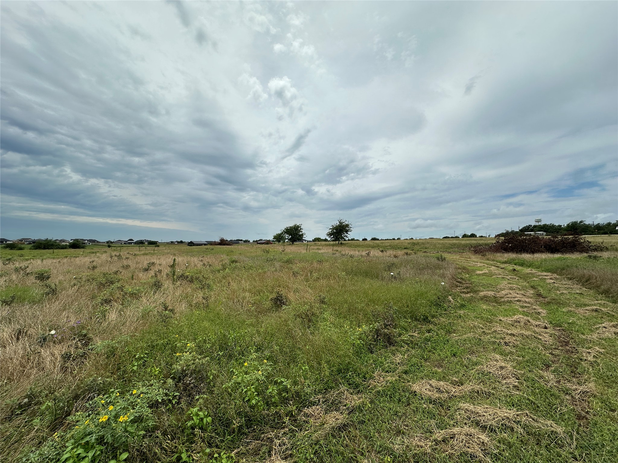 19621 Fm 2115 Salado, TX 76571 - Photo 13 of 29