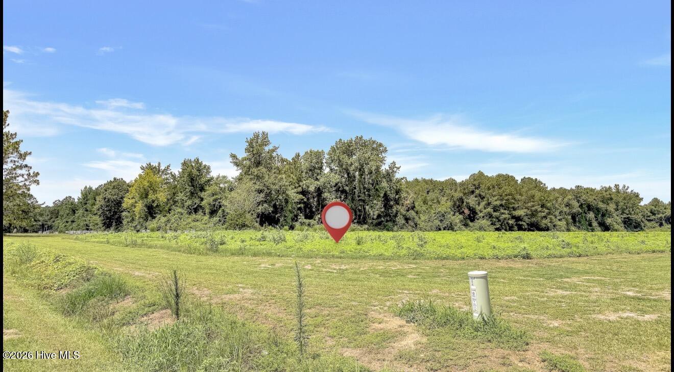 12-ac Trinity Church Road Magnolia, NC 28453 - Photo 5 of 15 Gallery Image 5