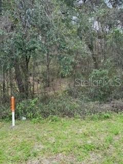 24 Archer Archer, FL 32618 - Photo 8 of 8 a view of a green field