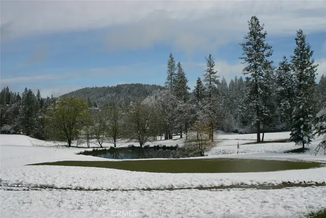 a view of a playground with trees