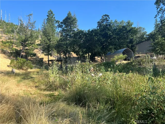 a backyard of a house with lots of green space and trees