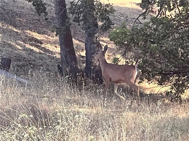 a view of house with yard and sitting area