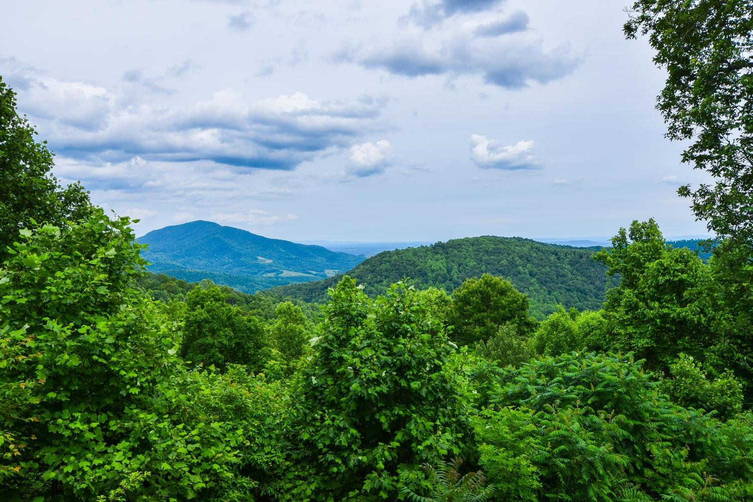 17320 Callaway Rd Callaway VA-large-040-