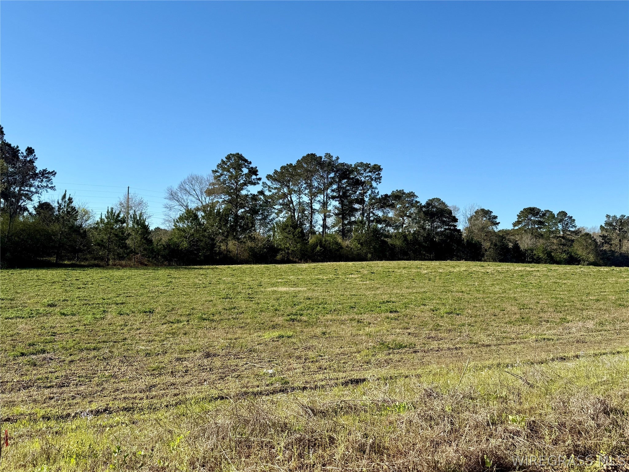 4.76-acres Huskey Road Dothan, AL 36303 - Photo 5 of 8 Gallery Image 5