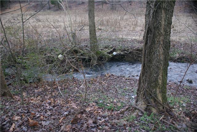 955 Williams Hollow Road Pulaski, TN 38478 - Photo 12 of 14 Creek in the back yard!