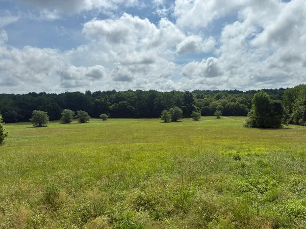 8033 Roberson Cemetery Road, Iron City, TN 38463