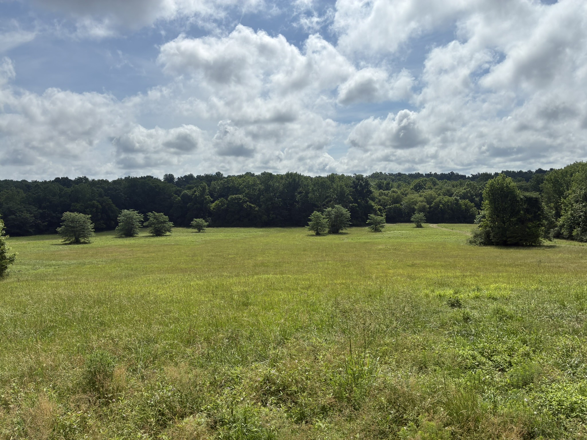 8033 Roberson Cemetery Road Iron City, TN 38463 - Photo 1 of 3