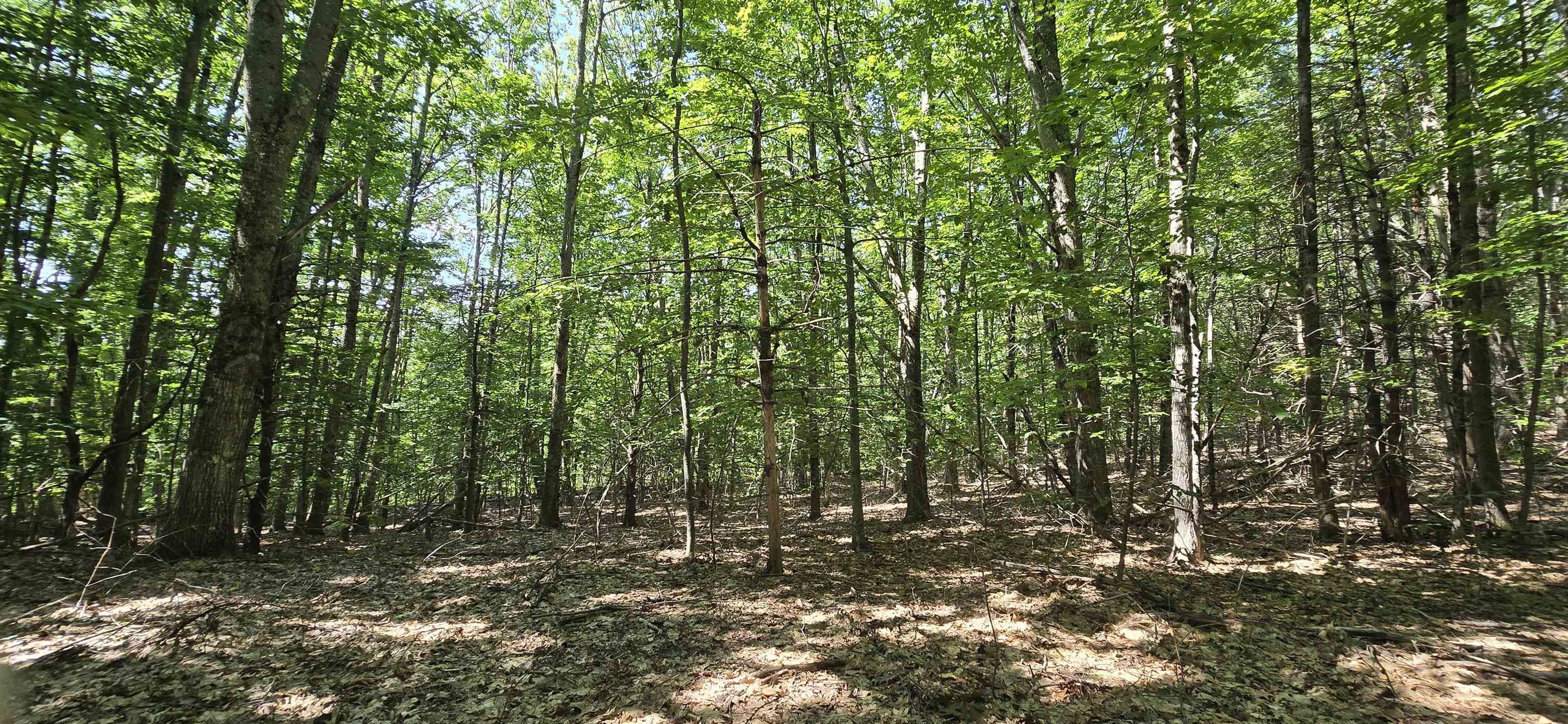 406-17 Guinea Ridge Road Gilmanton, NH 03237 - Photo 8 of 15 Gallery Image 8