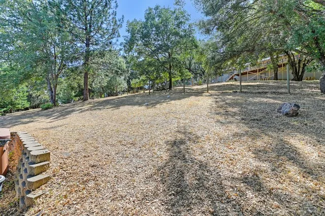 a view of outdoor space with trees