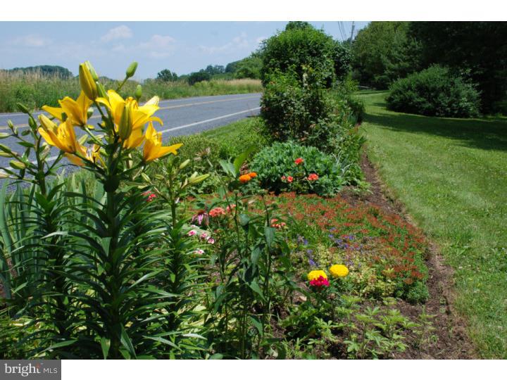 88 Old Church Road Robesonia, PA 19551 - Photo 30 of 35 Summer Flower Garden
