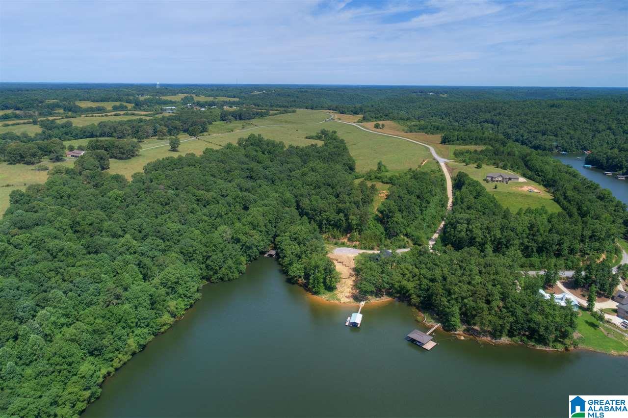 0 Ridge Drive, Unit 58 PART 54 & BOAT RAMP Arley, AL 35541 - Photo 25 of 27