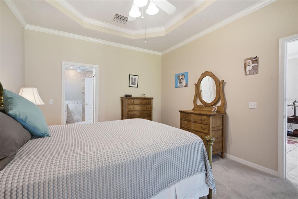 6057 Sandhill Ridge Drive Lithia, FL 33547 - Photo 26 of 83 a bedroom with a bed and a chandelier