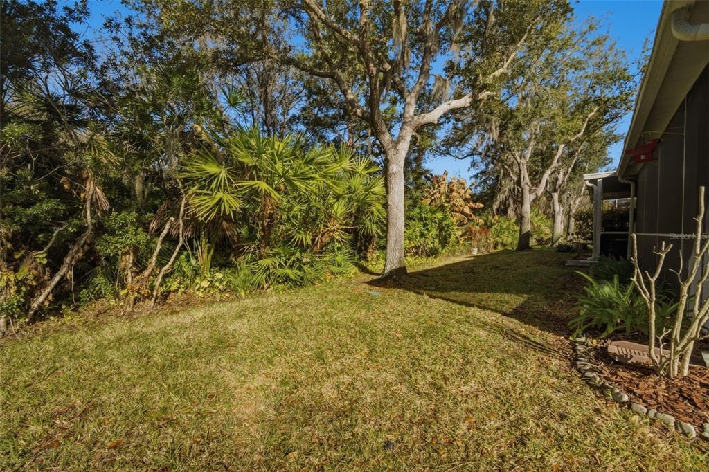 6057 Sandhill Ridge Drive Lithia, FL 33547 - Photo 47 of 83 a view of backyard with green space