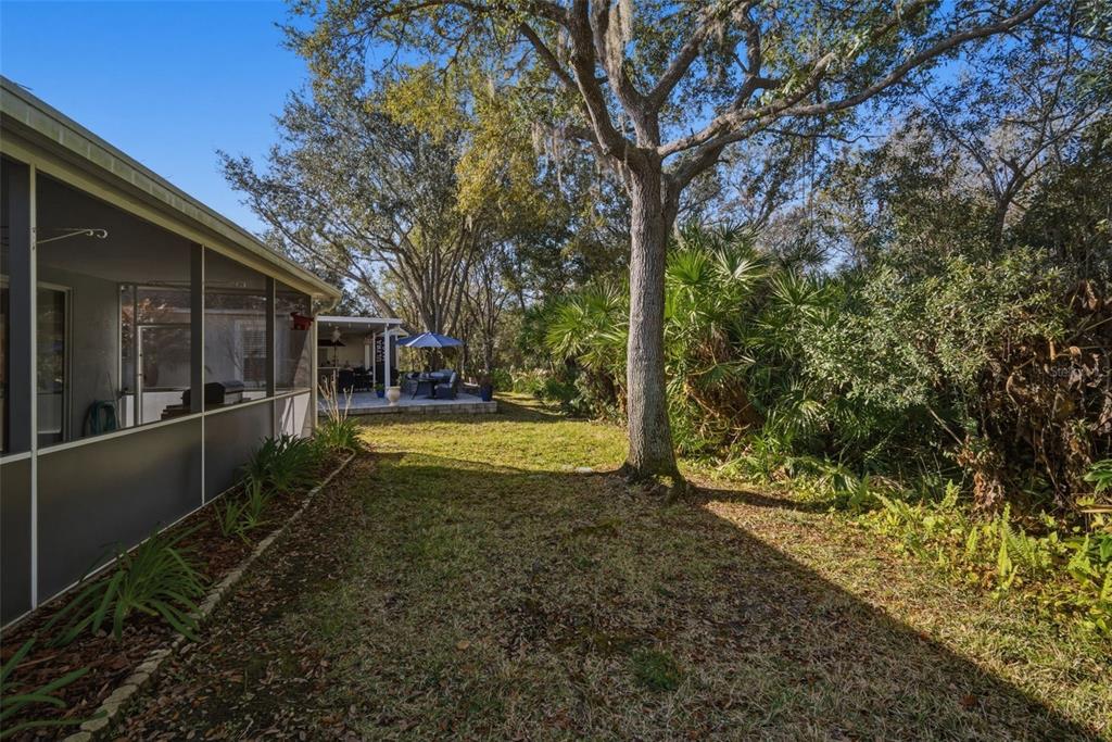 6057 Sandhill Ridge Drive Lithia, FL 33547 - Photo 49 of 83